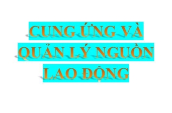 HỒ SƠ NĂNG LỰC